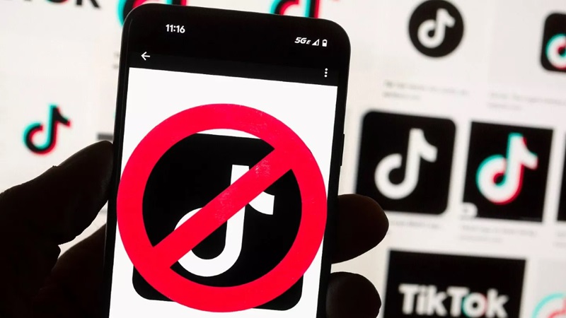 Reasons TikTok is Banned in Some Countries
