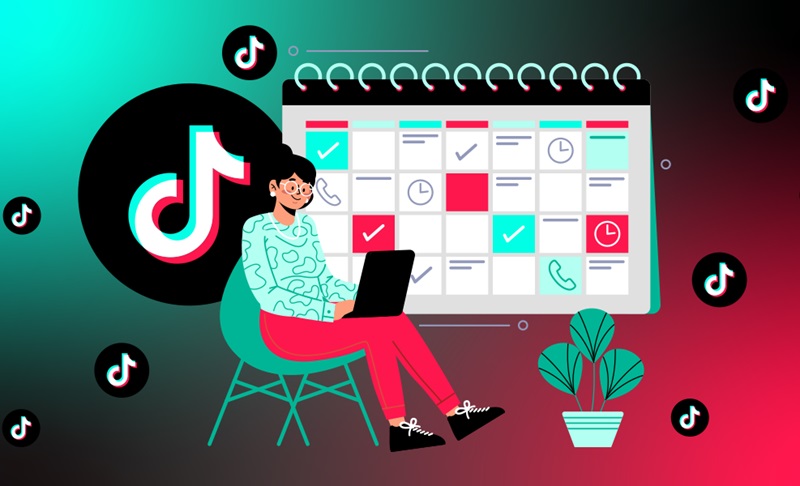 Some Considerations When Deleting Videos on TikTok