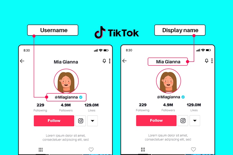 Distinguishing Between “TikTok Name” and “TikTok Username/ID”
