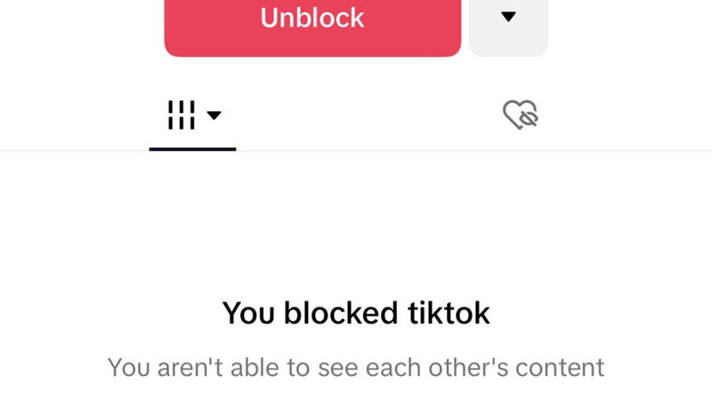 What to Do If You’ve Been Blocked on TikTok