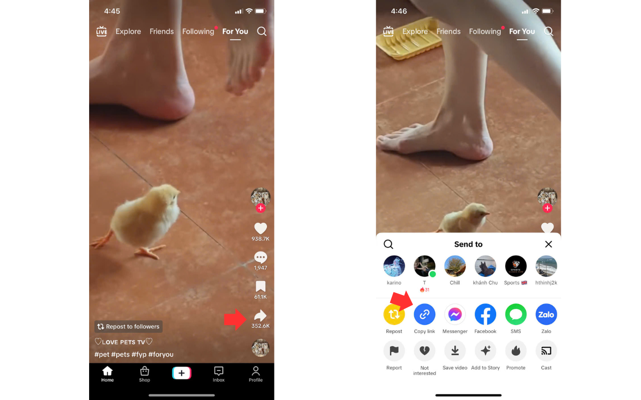 Salin tautan video TikTok